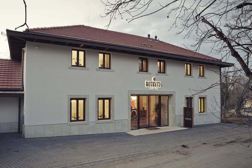 Botrytis Borhotel Mád 部屋 写真